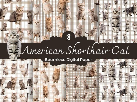 American Shorthair Cat Seamless: A Versatile Tool for Creative Projects