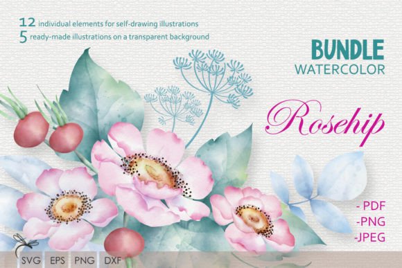 Watercolor Floral Illustrations Rosehip: A Versatile Design Resource for Creative Projects